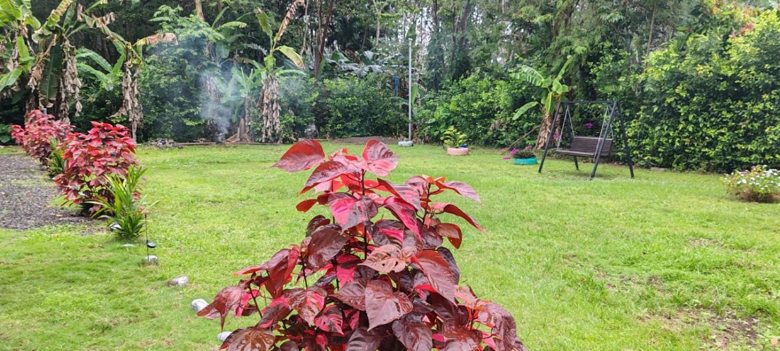 Villa Rios Puerto Viejo de Talamanca Eksteriør billede